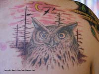 Owl-Back